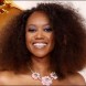 NBC commande la com�die The Fall and Rise of Reggie Dinkins avec Erika Alexander